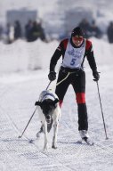 Lenk 2013